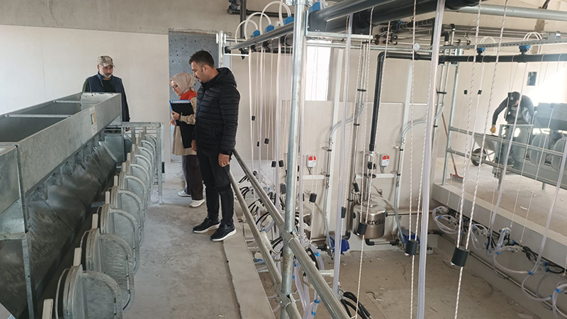 593594861 122213455244108366 8500871468092692250 N