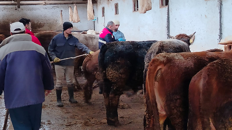 593609331 122213784806108366 4629826793850552981 N