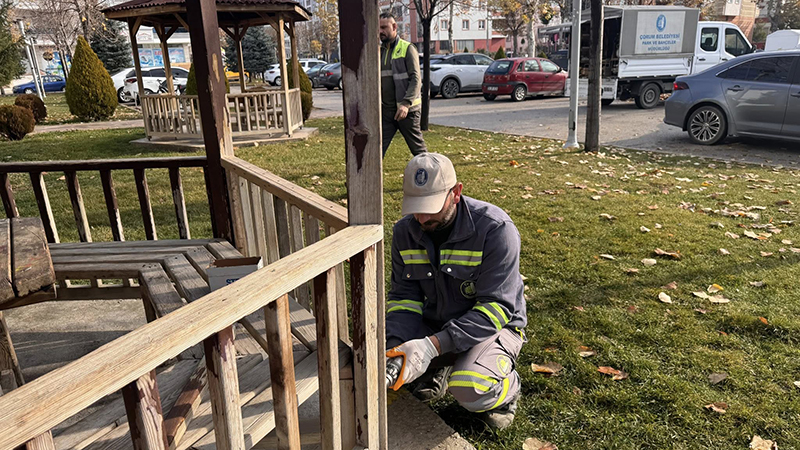 593797172 1260873479411784 4625006233643011867 N