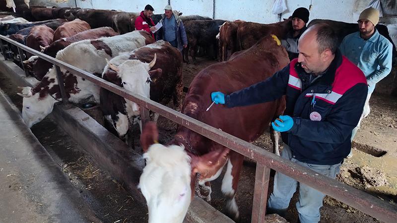 594370289 122213784812108366 8438563822150887267 N