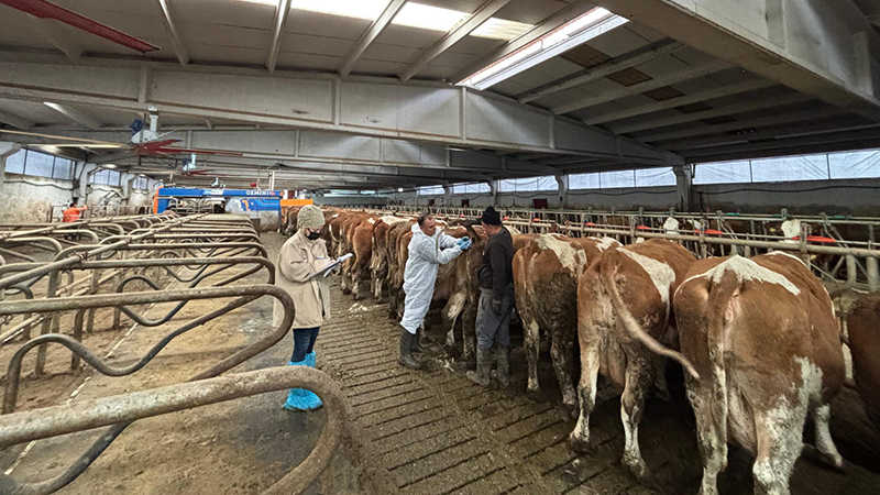 597435837 122214862892108366 7803420597982978477 N