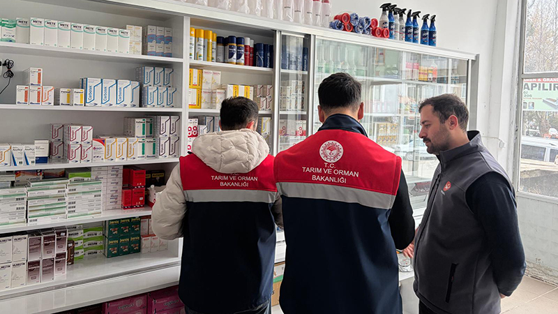 598360968 122215315526108366 8750128192074471754 N