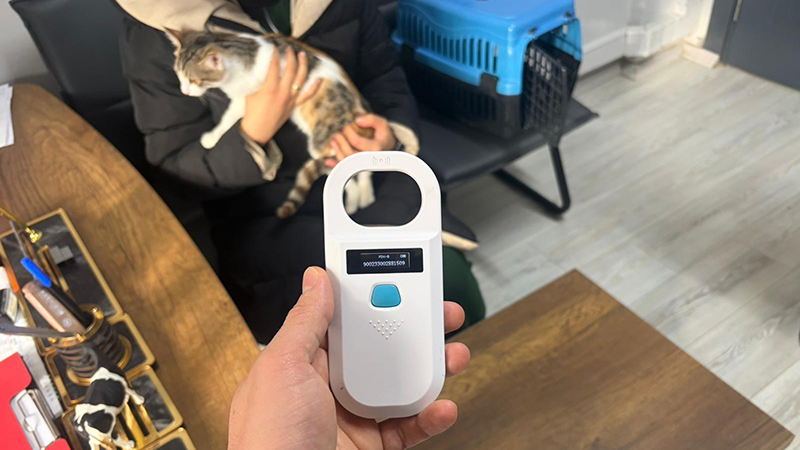 598430694 122215337564108366 7477809656893983798 N