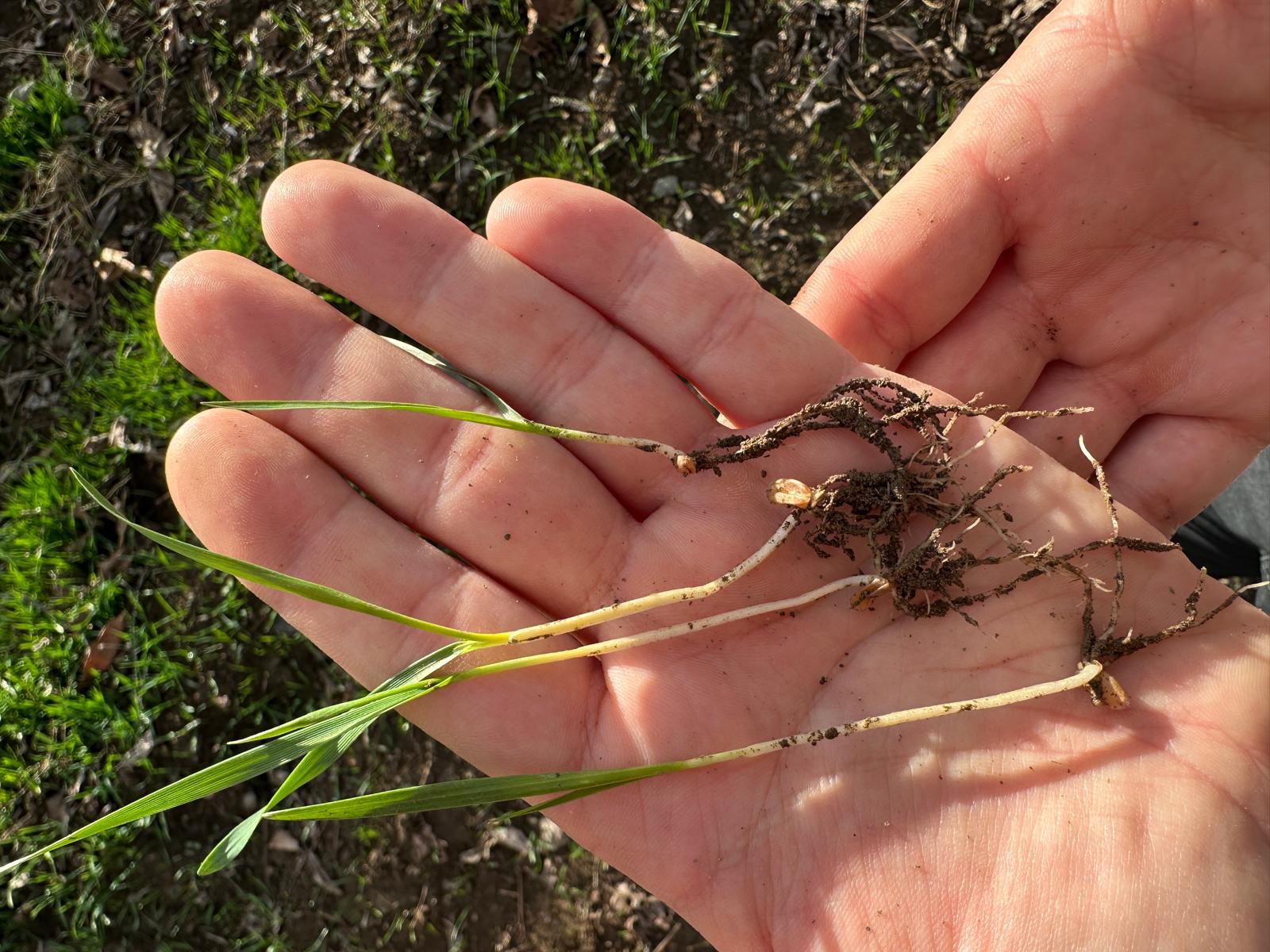 599930082 122215726814108366 1765269777625463650 N