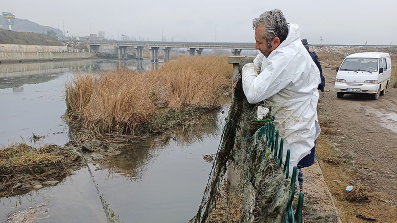 602422204 122216940494108366 2873207457415194582 N