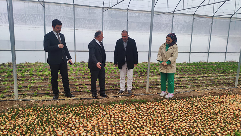 604495038 122217153314108366 2068117063935757447 N