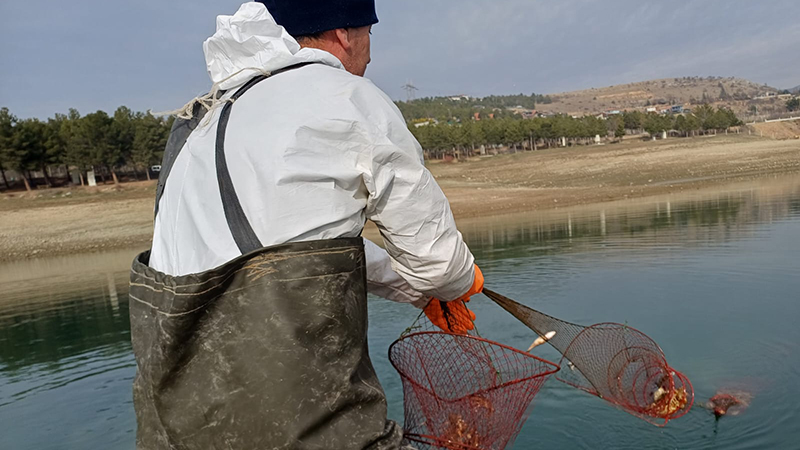 605124911 122216827076108366 1629037844612062139 N