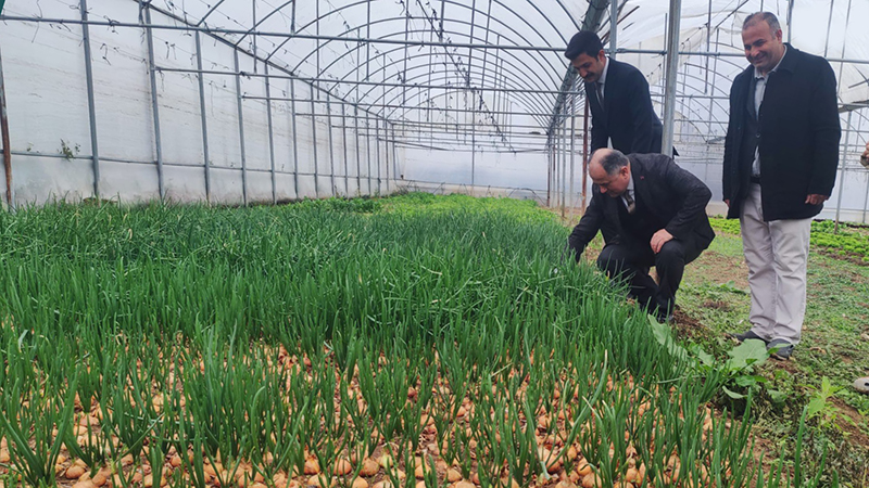 605320260 122217153266108366 7345298296798441008 N