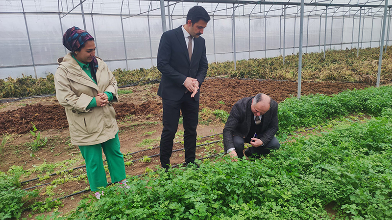 606392633 122217153356108366 4505234601923602663 N