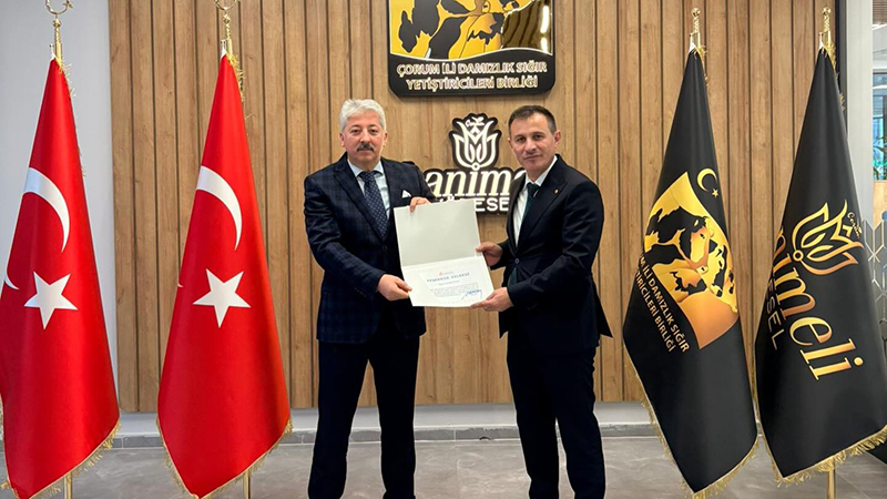 606537650 18437955820110426 1160873406421032390 N