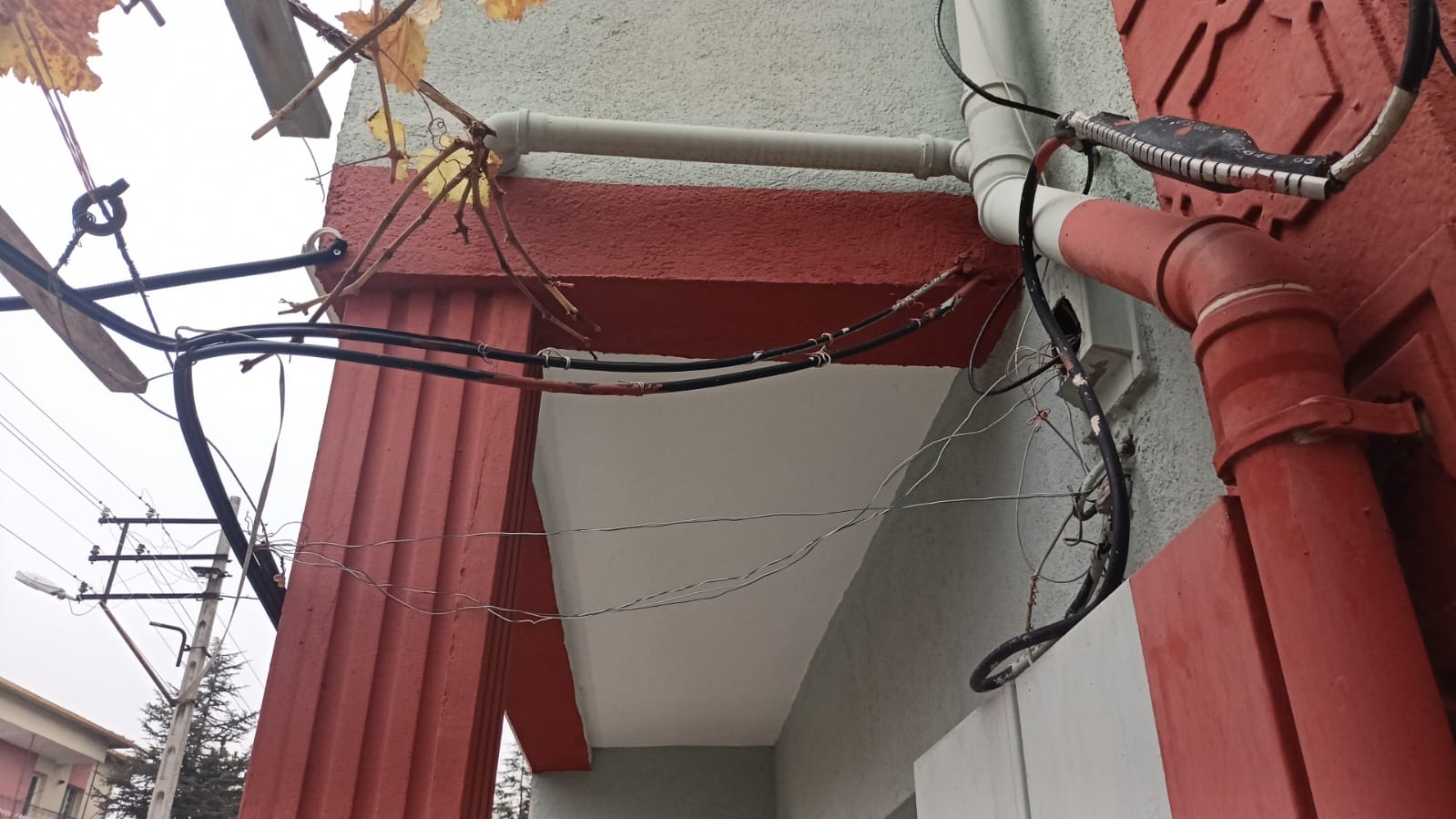 6Cd66B14 3735 48C8 9118 16Ea533C1A9F