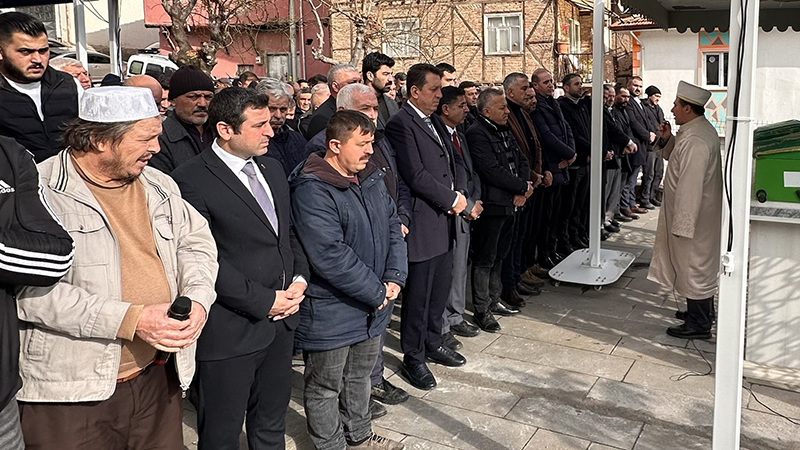 G7 Gj4 Pn W8 A Ao P H S