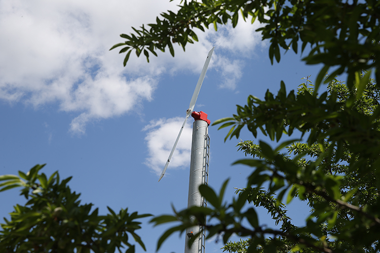 2025 13 20250417 2 68618427 111833203