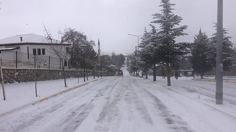 606841392 1278650760954920 1678103116607692225 N