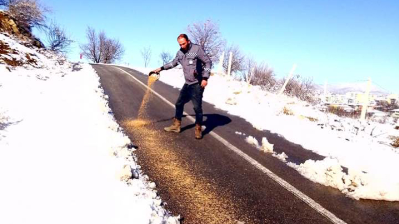 607898452 10242755651375237 5137450643089228882 N