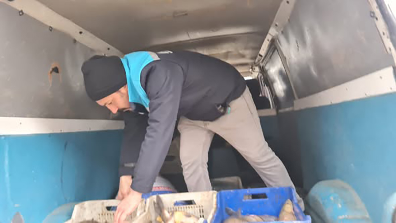 614190568 122220265184108366 1506018322180115796 N