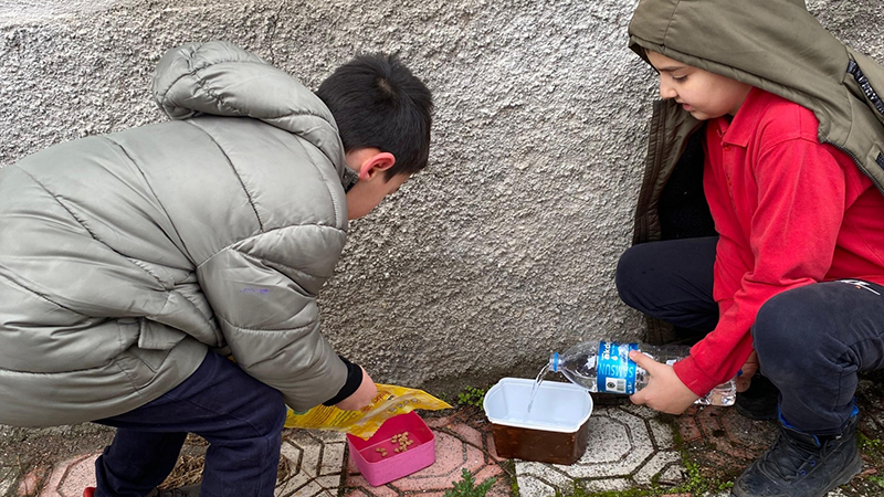 615135483 1291413409687017 3359599531760789194 N