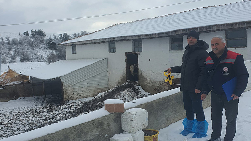 615209688 122220661748108366 824333135882491054 N