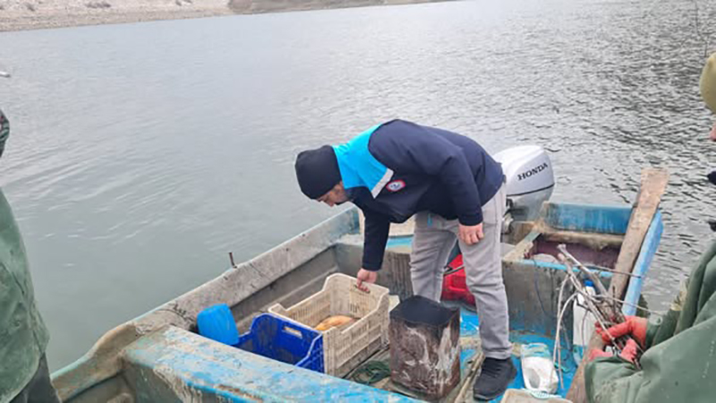 615249877 122220265166108366 4019547857141173878 N