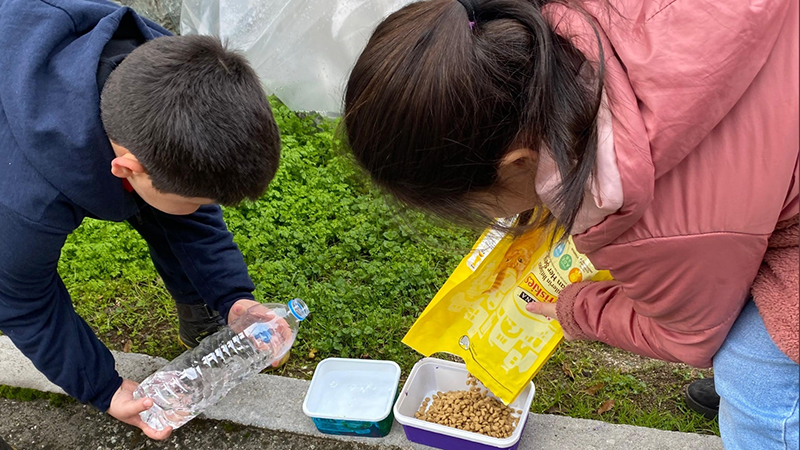 615844393 1291413733020318 8826779292782112761 N