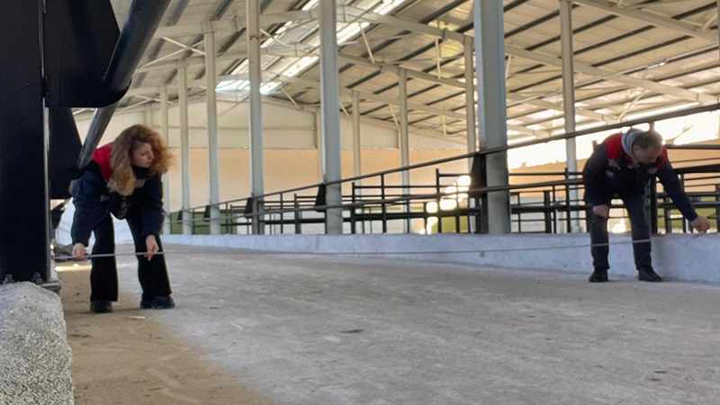 617903305 122221367558108366 1293261493865701084 N