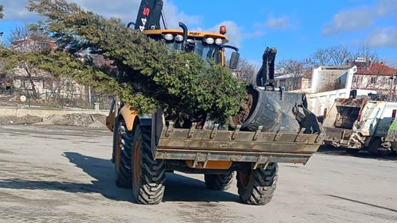 619546312 10243053267215447 4915726557732663340 N