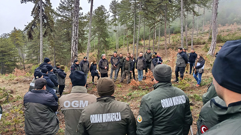 630909600 1244904131068749 200451134601690705 N