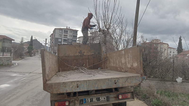 632298815 18446607574109195 1441426567142137818 N