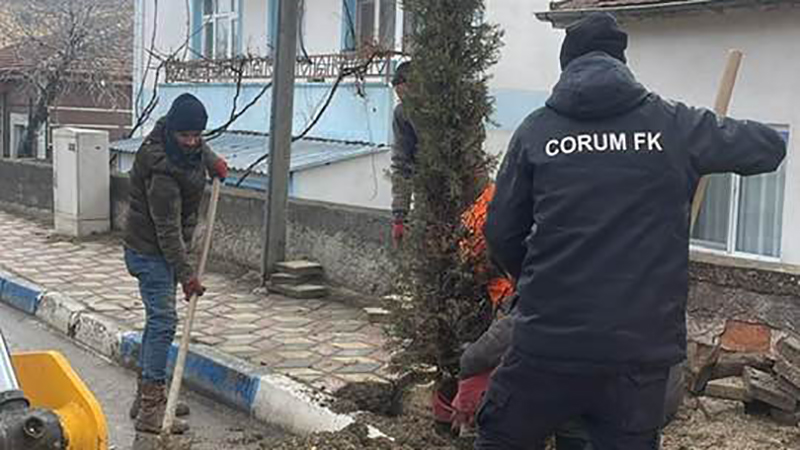 632630945 10243396709561291 451680040118436033 N