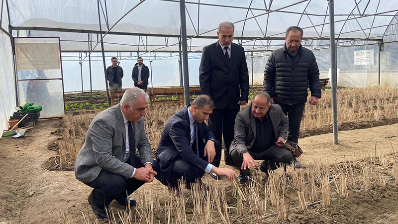 633144554 1494112272720361 405743279899606855 N