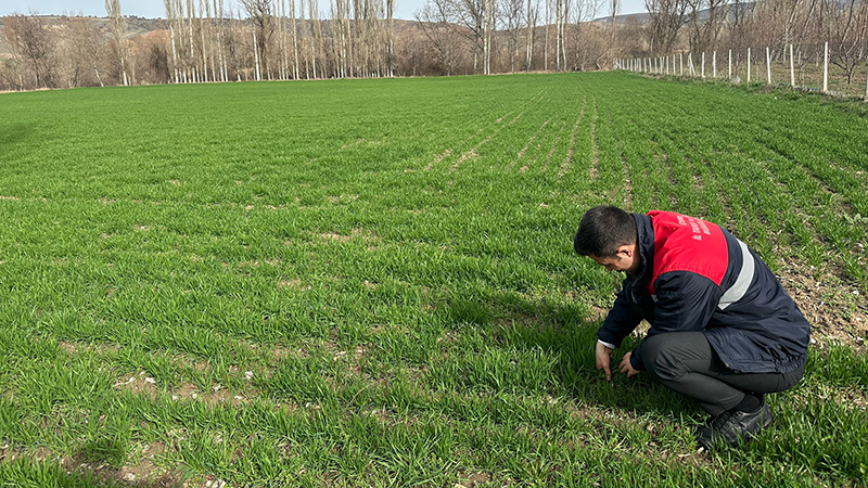 638085692 122224571258108366 6527707207934527361 N