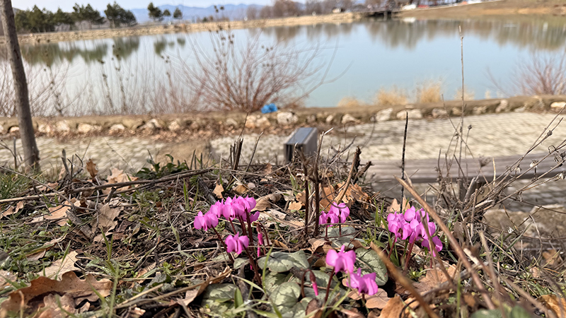 A A 20260215 40562262 40562260 C O R U M D A Y E S I L G O L U N C E V R E S I C I G D E M V E M E N E K S E L E R L E K A P L A N D I