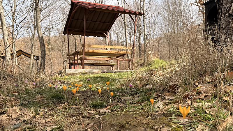 A A 20260215 40562262 40562261 C O R U M D A Y E S I L G O L U N C E V R E S I C I G D E M V E M E N E K S E L E R L E K A P L A N D I