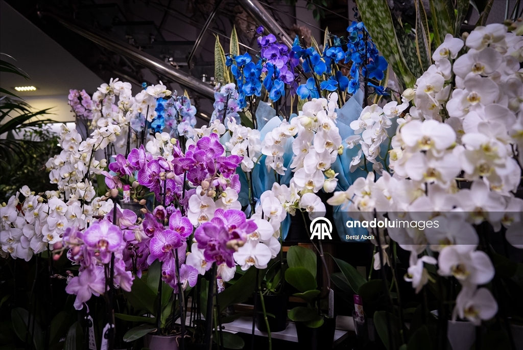 Bb4Eaaa1 E668 4153 9Ef5 C16Aa5189A00