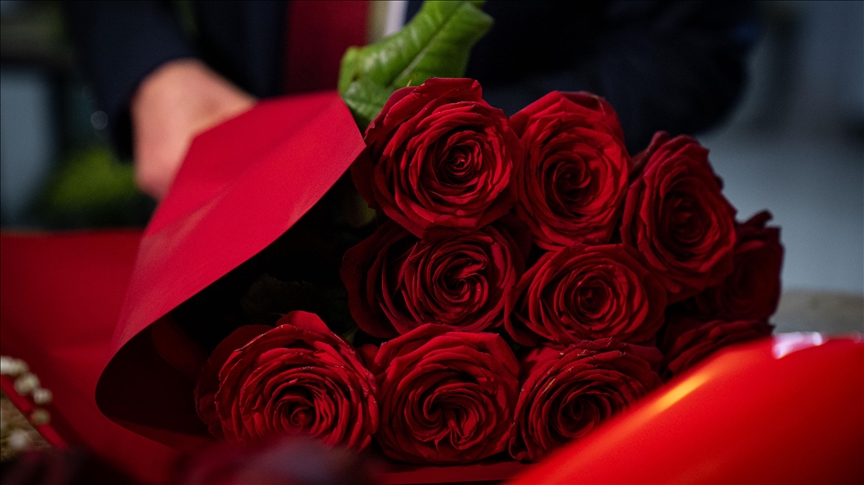 Thumbs B C 83737A4F000E8Fdb9Df17E8F282B78Be