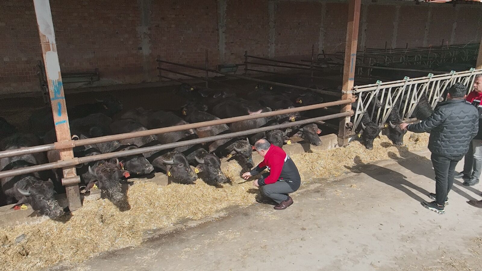 648237242 122226532910108366 6595051770052977687 N-1