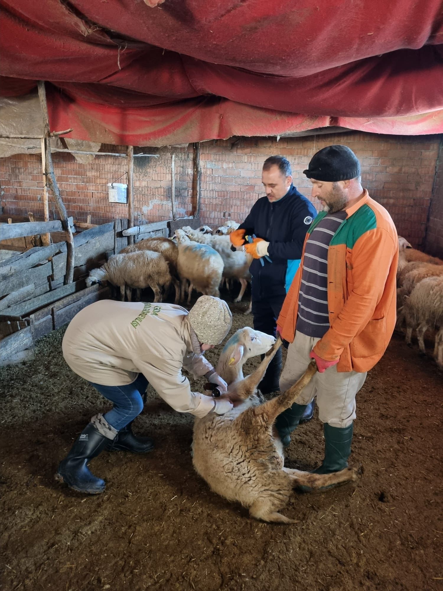 649922650 122227054226108366 5976866135417849923 N