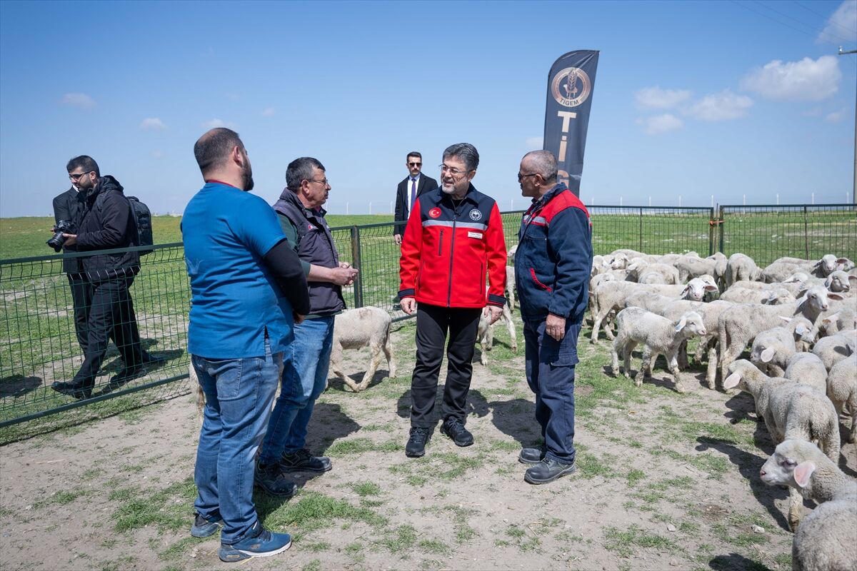 410Abd43338B08C5Bd497D5Fcacd293E