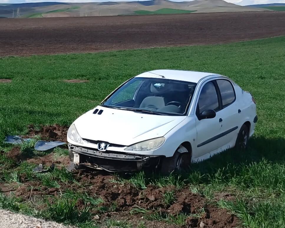 670822022 17953296945107896 1205146732120814819 N