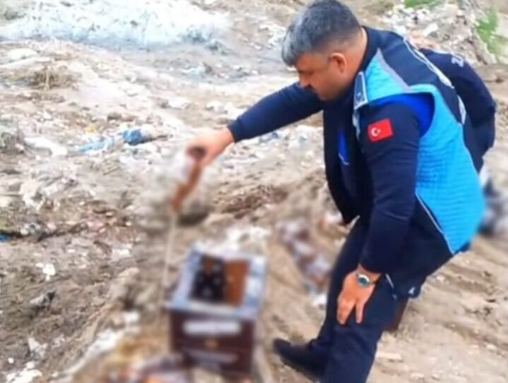 672817720 18458110159109195 4879043280831348727 N-1