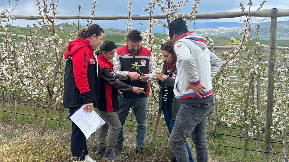 678246862 122231564252108366 2167926800876368446 N