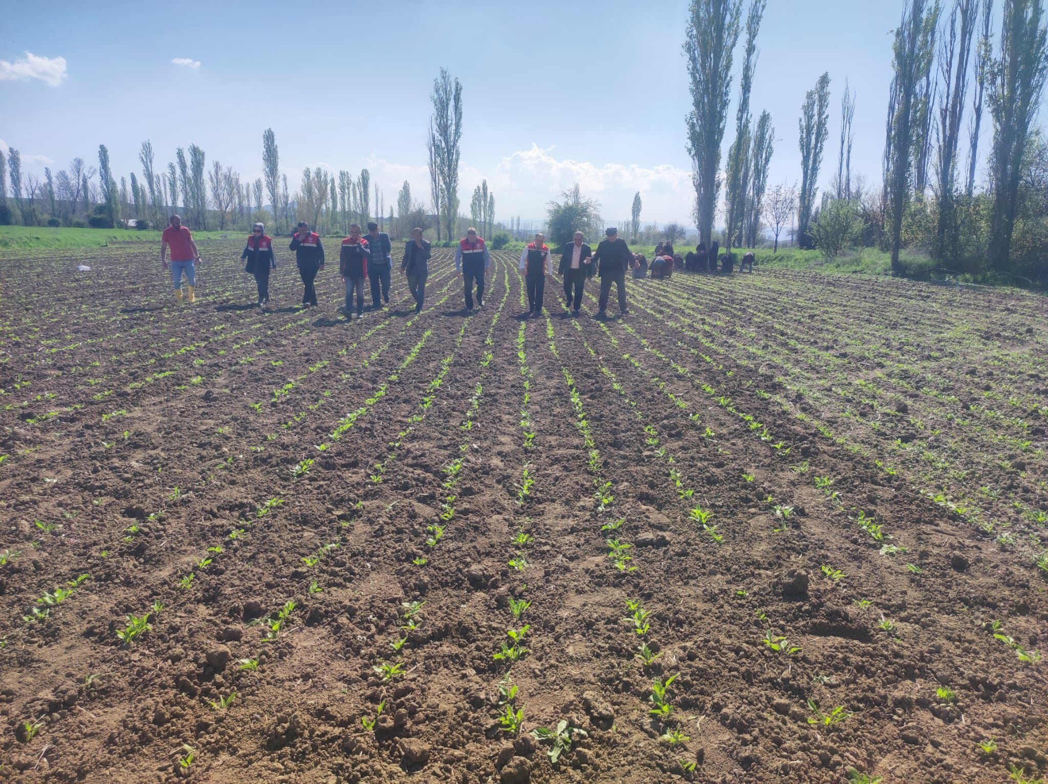 682063469 122232071846108366 5928697200549186497 N