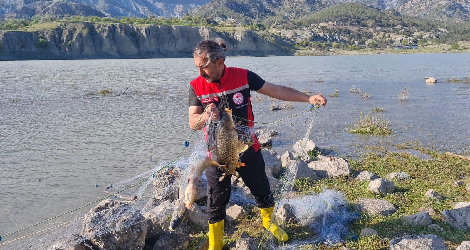 Kaçak Avcılığa Darbe: 500 Metrelik Ağ Ele Geçirildi, 80 Balık Kurtarıldı