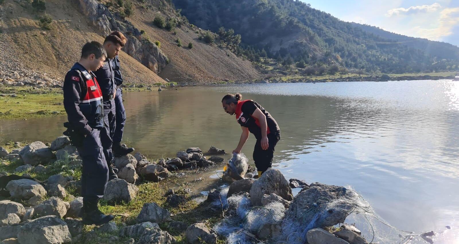 684942125 1611784517614542 9085245176271363498 N