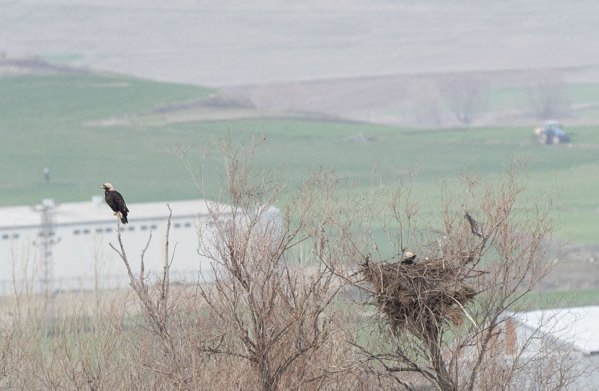 A A 20260410 41068508 41068507 T U R K I Y E D E N E S L I T E H L I K E A L T I N D A K I S A H K A R T A L C O R U M D A G O R U N T U L E N D I