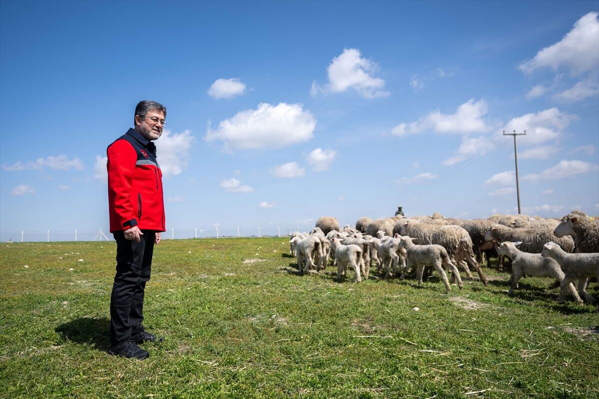 A000632B689Eaf85E15B424347822Ee4