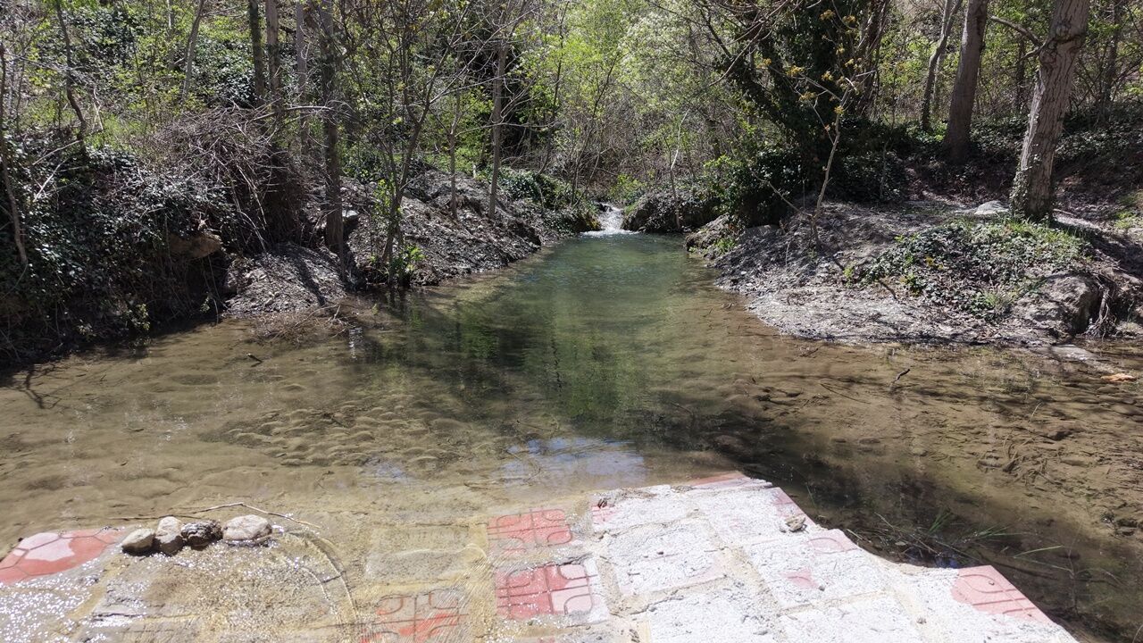 D J I 20260426121306 0348 D. J P G