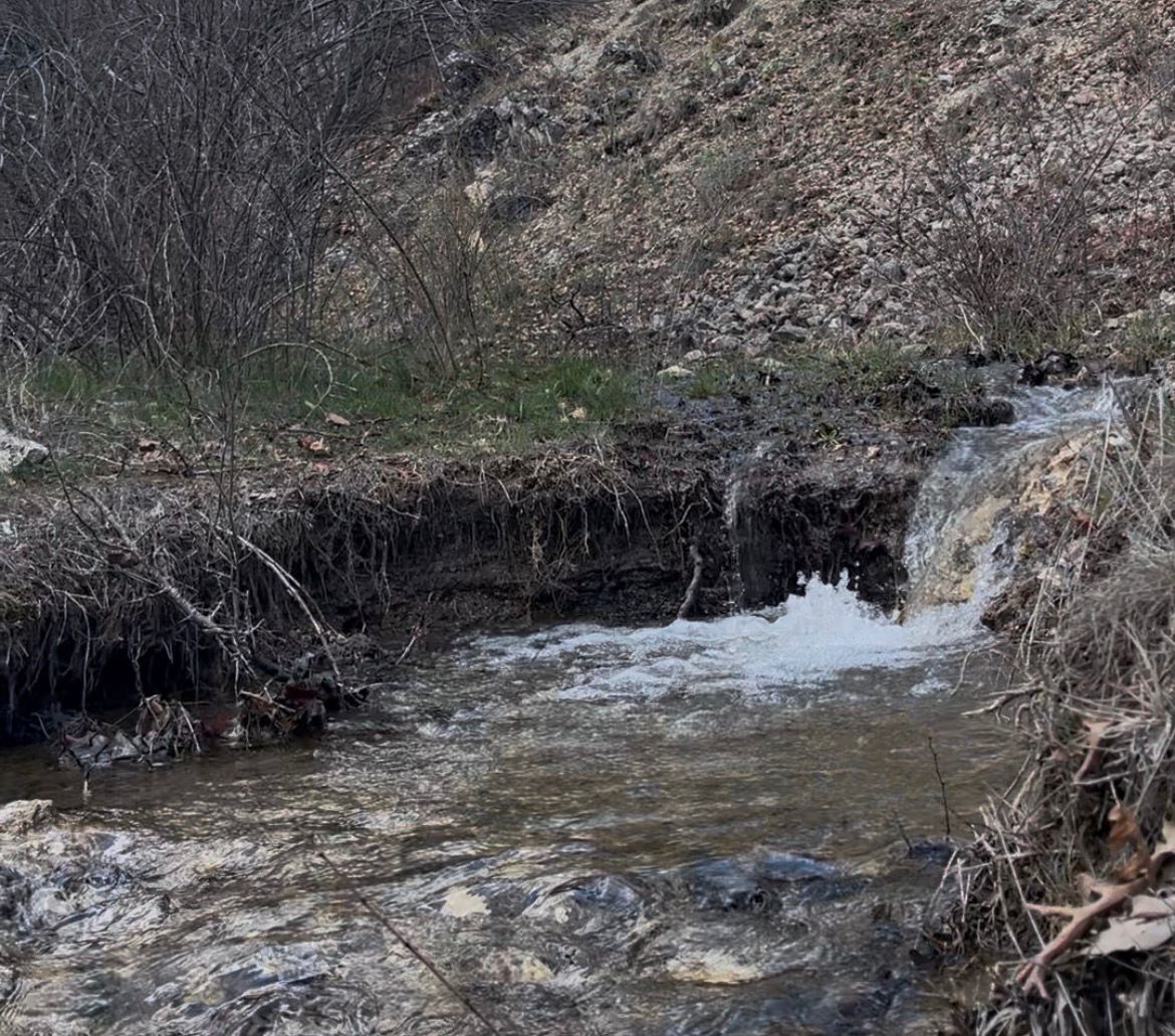 Whatsapp Image 2026 04 13 At 11.22.24