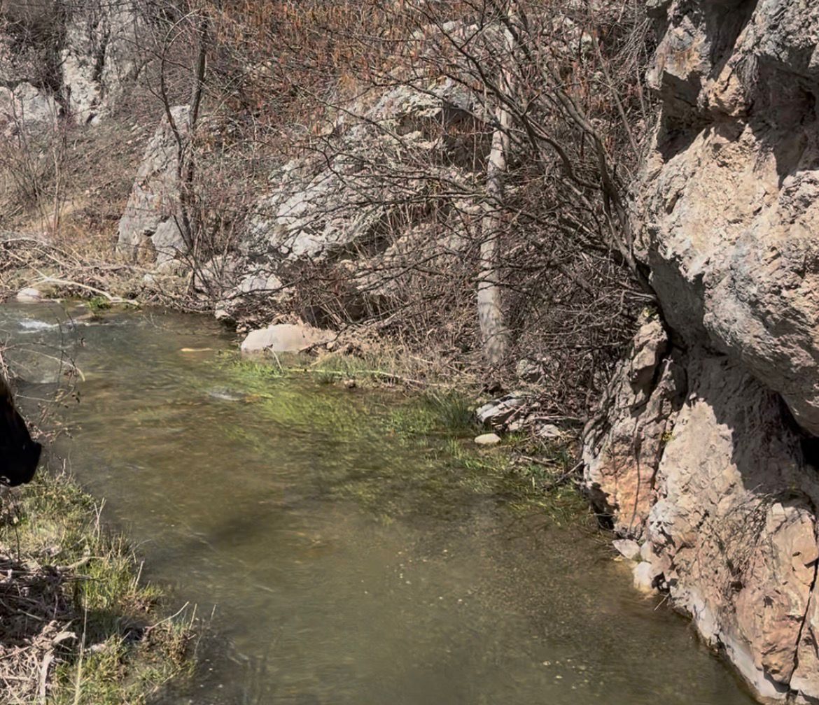 Whatsapp Image 2026 04 13 At 11.22.25