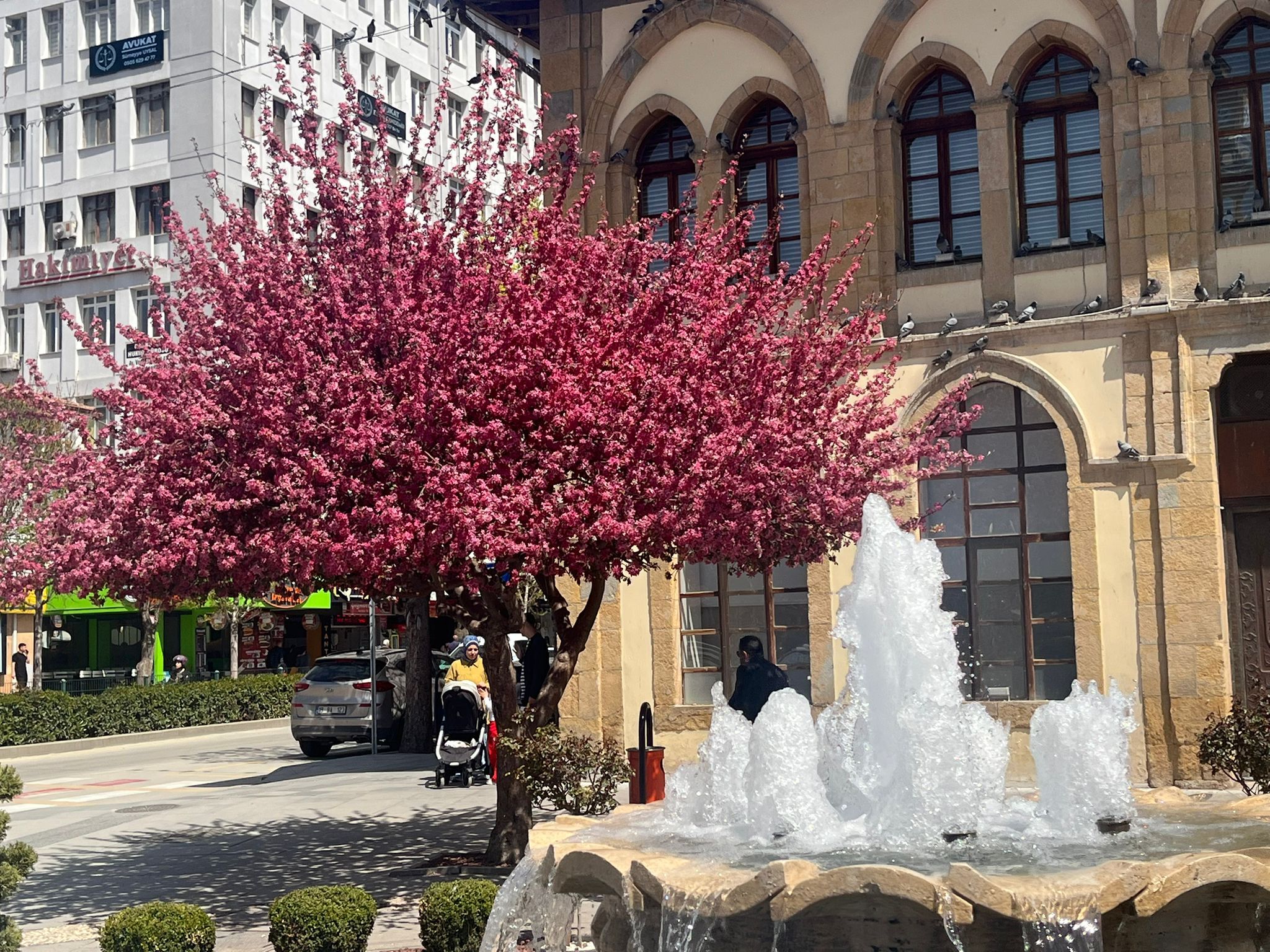 Whatsapp Image 2026 04 16 At 22.17.11